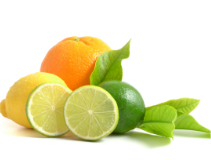 Citrus