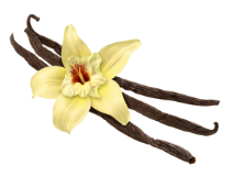 Vanilla